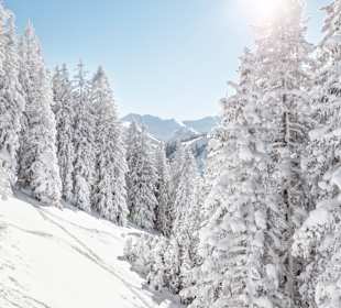 Skigebiet Saalbach