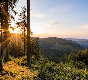 Wandern Brilon