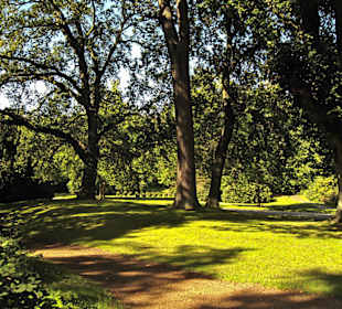 Кладбище Ольсдорф, Гамбург, 16 сентября 2013 года