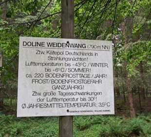 Doline Weidenwang