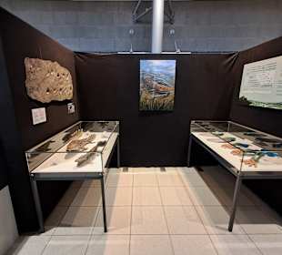 Geoskop in Thallichtenberg