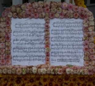 Chrysanthemen Show