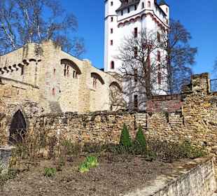 Blick von der Rheinpromenade 
