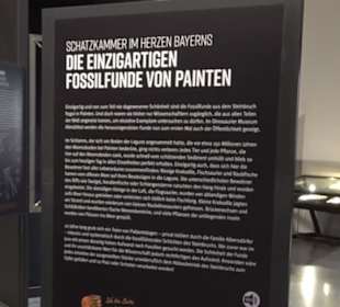 Dinosaurier Museum Altmühltal