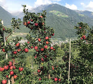 Wandergebiet Schennaberg