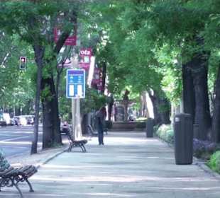 Paseo del Prado