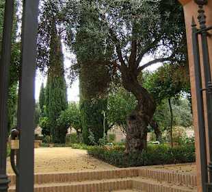 Excursión a Jerez