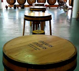 Madeirawein in Camara de Lobos