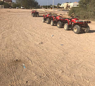 Quad Tour Safaga