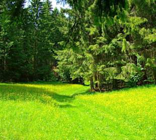 Wanderung zum Bärenfels