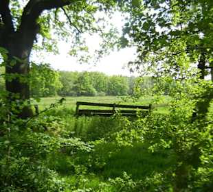 Naturschutzgebiet Boberger Niederung