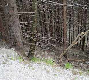 Berg Schneekoppe/Śnieżka