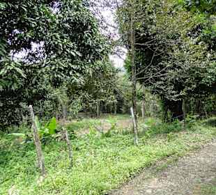 Ausflug wildfife expeditions