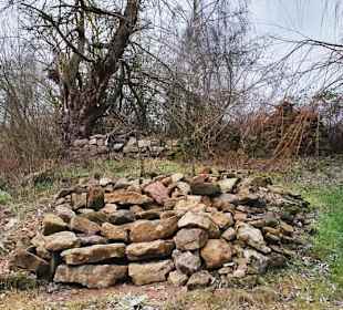 Baumstrukturen 