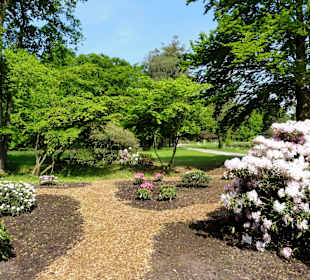 Impressionen vom Rundweg durch den Park