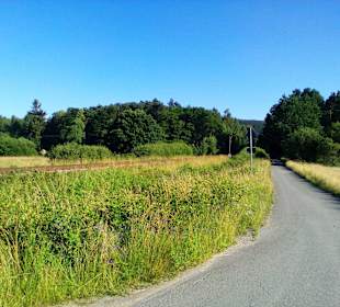 Ramstein-Miesenbach Rundweg in Ramstein-Miesenbach