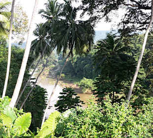 Rohan Shops & Tours im Club Hotel Dolphin