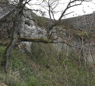 Burgruine Hohenhundersingen