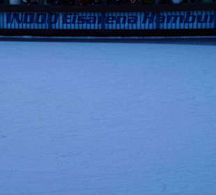 Parkanlage Planten un Blomen