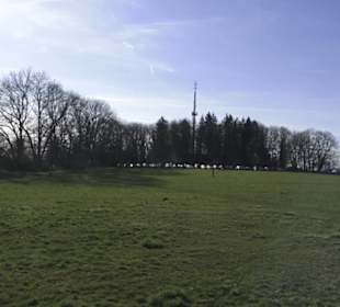 Scheibengipfel