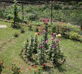 Restaurant Malbazar Touristik Lodge