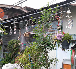 Mit Green Mango das ursprüngliche BKK entdecken