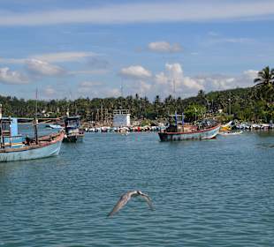 Fischereihafen Mirissa