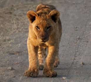An mir kommt keiner vorbei..