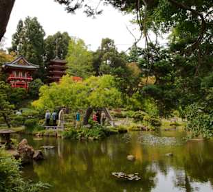 SF Japanese Tea Garden