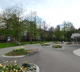 Im Kurpark Bad Wildbad