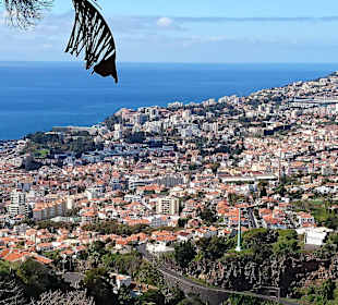Blick auf Funchal