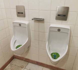 Toilette