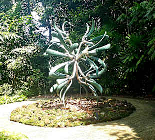Botanischer Garten