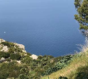 Wandern Andratx-St. Elm