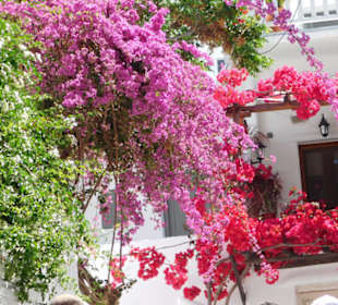 Wunderschönes Mykonos