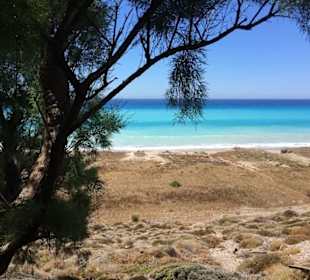 "Geheim"-Tip Westküste 