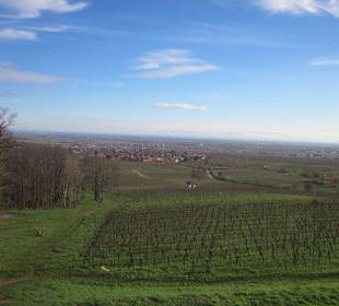 Blick vom Schloss Villa Ludwigshöhe
