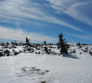 Schneekope/Śnieżka