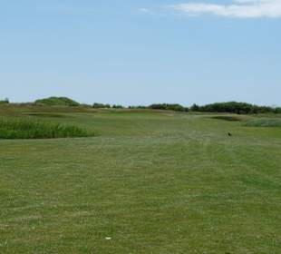 Lydd Golf Club, 8th Green