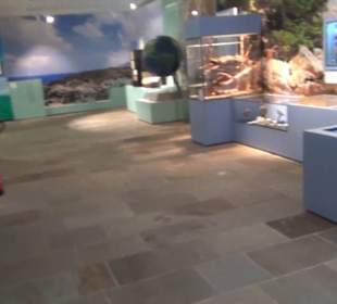 Niedersächsisches Landesmuseum