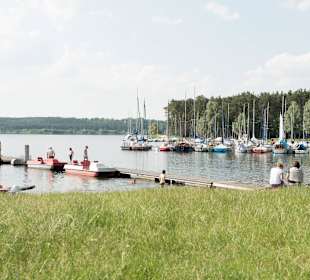 Segeln am Rothsee