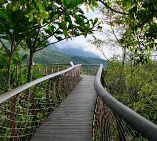 Kirstenbosch, Botanischer Garten