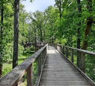 Baumwipfelpfad Saarschleife 