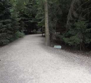 Dinosaurier Museum Altmühltal