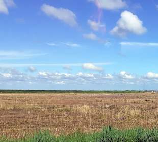 Insel Röm, Rømø, Romo