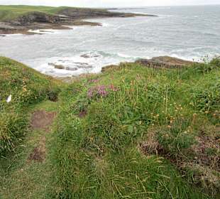 Küste Mullaghmore