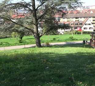 Rosengarten Villa Berg