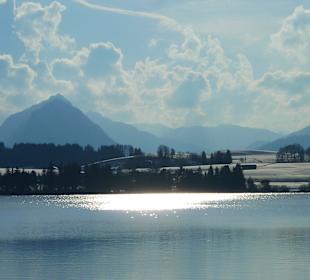 Rund um den Hopfensee 