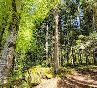 Wandern Schönberg