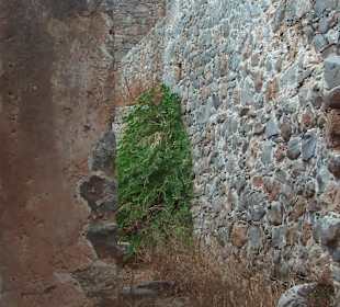 Lebrainsel Spinalonga bei Kreta